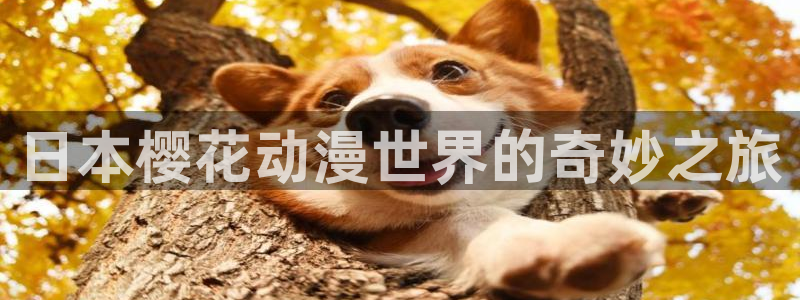 里番动漫网：日本樱花动漫世界的奇妙之旅