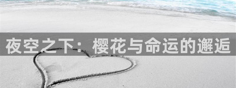 下载里番动漫：夜空之下：樱花与命运的邂逅