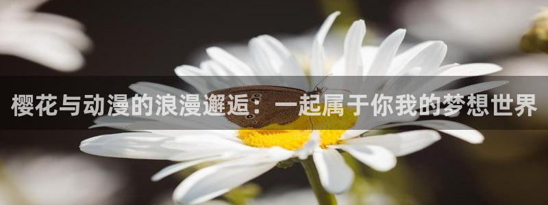 里番动漫官网入口老版本：樱花与动漫的浪漫邂逅：一起属于你我的梦想世界
