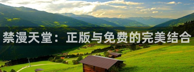 里番动漫下载网：禁漫天堂：正版与免费的完美结合