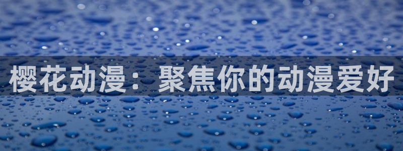 里番动漫正版网