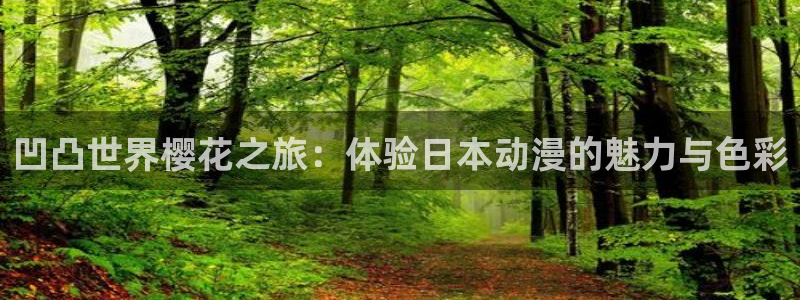 里番动漫网
