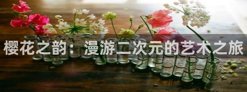 里番动漫网上看