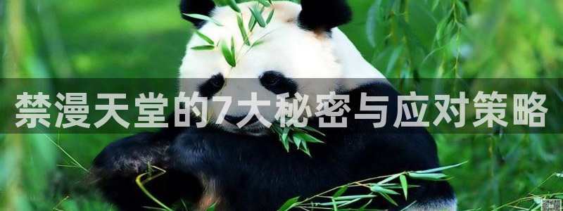 里番动漫网：禁漫天堂的7大秘密与应对策略