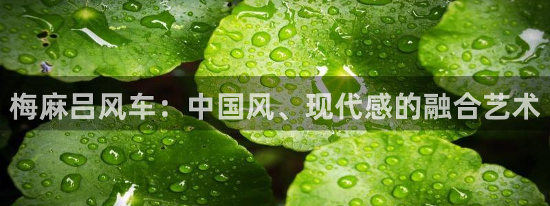 里番动漫官网网址：梅麻吕风车：中国风、现代感的融合艺术