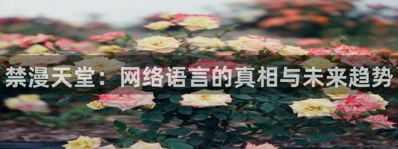 里番动漫网下载：禁漫天堂：网络语言的真相与未来趋势