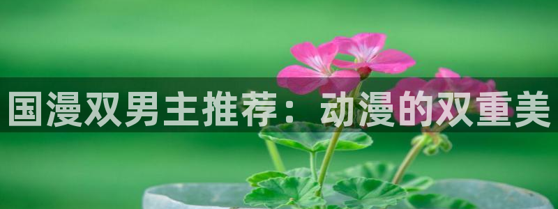 在线动画动漫下载里番动漫：国漫双男主推荐：动漫的双重美