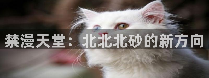 里番动漫专注动漫的门户网站：禁漫天堂：北北北砂的新方向