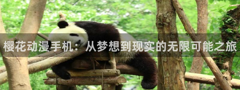 里番动漫网：樱花动漫手机：从梦想到现实的无限可能之旅