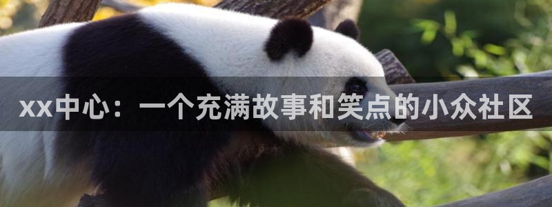 colamanage漫画：xx中心：一个充满故事和笑点的小众社区