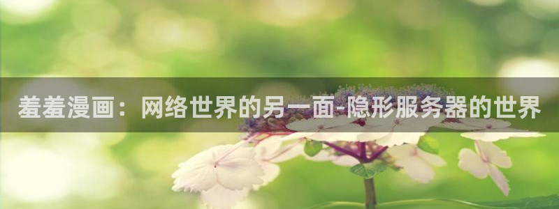 里番动漫网官网入口：羞羞漫画：网络世界的另一面-隐形服务器的世界