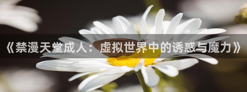 age樱花动漫：《禁漫天堂成人：虚拟世界中的诱惑与魔力》