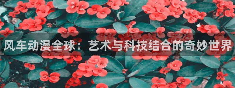 里番动漫omofun：风车动漫全球：艺术与科技结合的奇妙世界