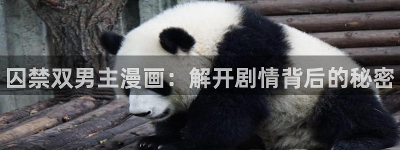 里番动漫omofun：囚禁双男主漫画：解开剧情背后的秘密