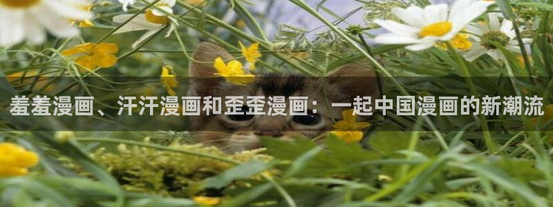 里番动漫网