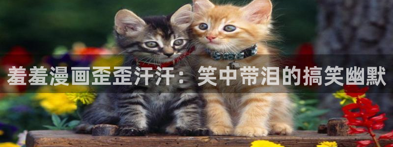 里番动漫网下载