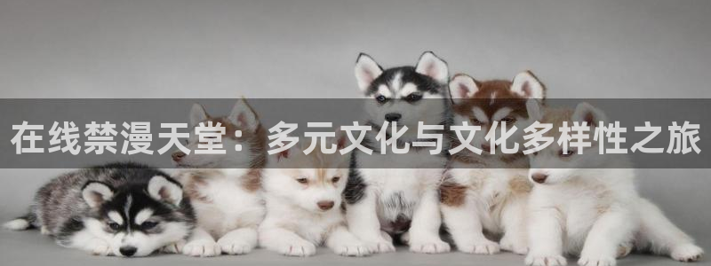 里番动漫网
