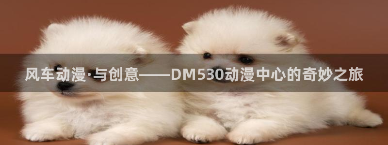 里番动漫omofun：风车动漫·与创意——DM530动漫中心的奇妙之旅