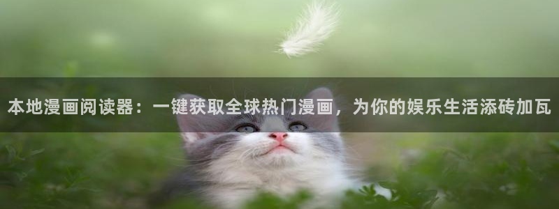 里番动漫官网入口老版本：本地漫画阅读器：一键获取全球热门漫画，为你的娱乐生活添砖加瓦